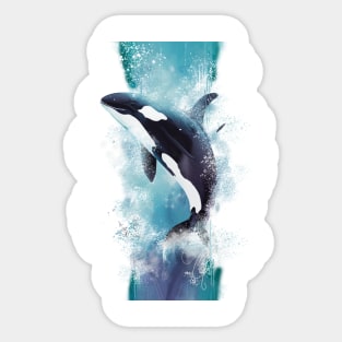 Orca Sticker